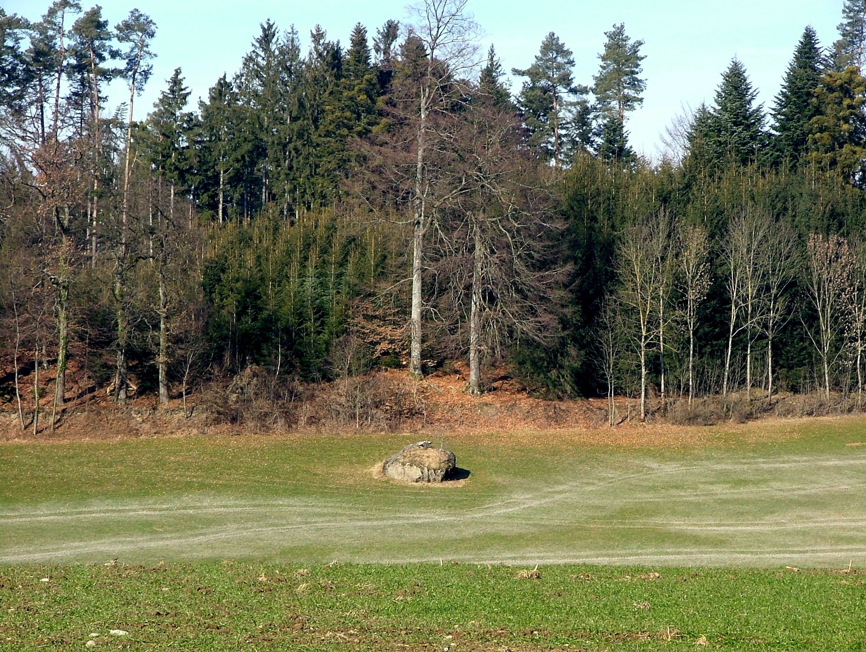 A golf course with a rock in the foreground and a forest in the background.
