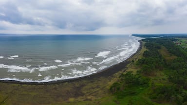 A coastal landscape with a beach, waves, and a forested area.