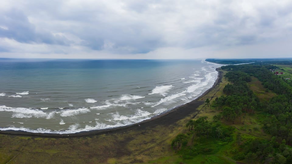 A coastal landscape with a beach, waves, and a forested area.