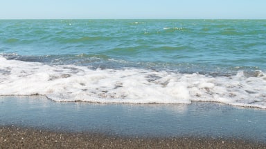 magnetic black sand in the village of Ureki in Georgia.Black sea beach with black sand