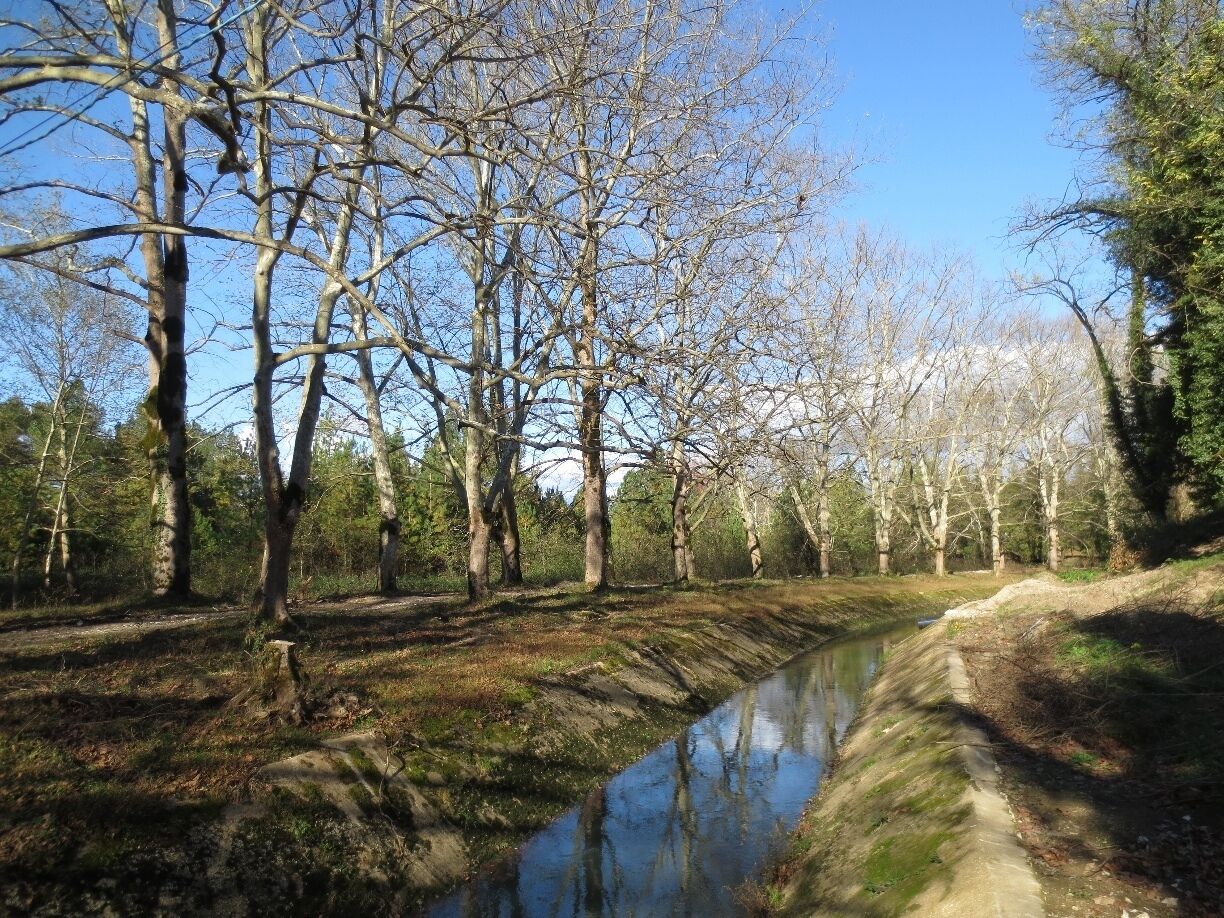 #treetrove  View of a canal and a trail in an old resort town in the western portion of the country of Georgia.

This area was a Soviet-era resort for communist officials.

After the collapse of the USSR, the town mostly became a refugee center for refugees from the nearby, war torn area of Abkhazia.

In the last few years there have been some efforts to restore some of the old resort infrastructure.