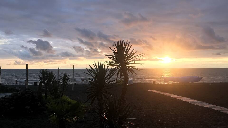 A beach at sunset with palm trees and a path leading to the ocean.
