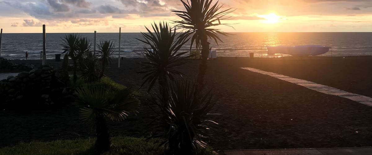 A beach at sunset with palm trees and a path leading to the ocean.
