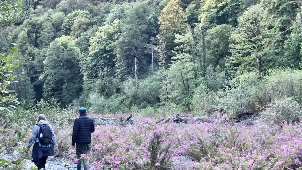 A protected forest reserve forgotten by time. Solitary hiking trails. Wildflowers. Secret waterfalls. So much to love!
Do the very adventurous hike to the big waterfall, or the easier one to the small waterfall. Keep 3 days for the lake!
#georgia #offbeat #nature #hiking #theshootingstar