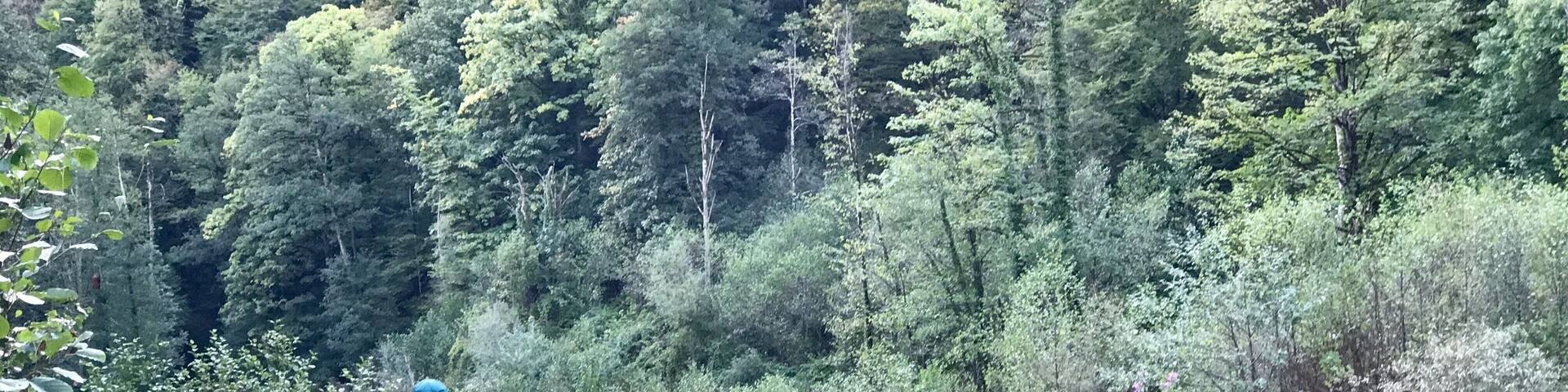 A protected forest reserve forgotten by time. Solitary hiking trails. Wildflowers. Secret waterfalls. So much to love!
Do the very adventurous hike to the big waterfall, or the easier one to the small waterfall. Keep 3 days for the lake!
#georgia #offbeat #nature #hiking #theshootingstar