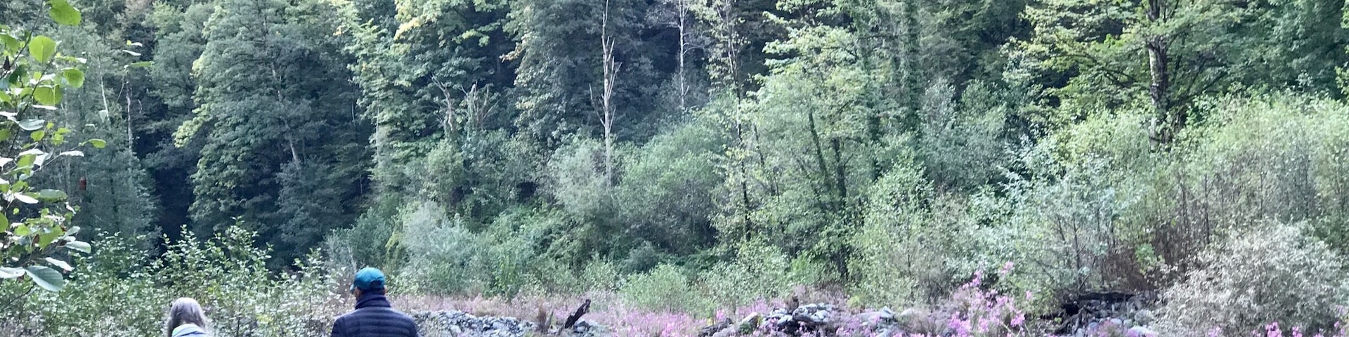 A protected forest reserve forgotten by time. Solitary hiking trails. Wildflowers. Secret waterfalls. So much to love!
Do the very adventurous hike to the big waterfall, or the easier one to the small waterfall. Keep 3 days for the lake!
#georgia #offbeat #nature #hiking #theshootingstar