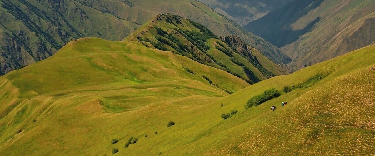 July 2010
Long descent from Atsunta pass (alt. 3.450 m) towards Mutso and Shatili villages in Khevsureti region of Georgian Caucasus. These green meadows are in altitude from 3.000 to 2.500 meters and it takes hours to cross them before the final 45 degrees slope which goes down 1.000 metres in 1 km distance. In good weather conditions you can see from Atsunta pass even the famous Kazbegi peak (alt. 5.047 m) which is some 50 km away.
