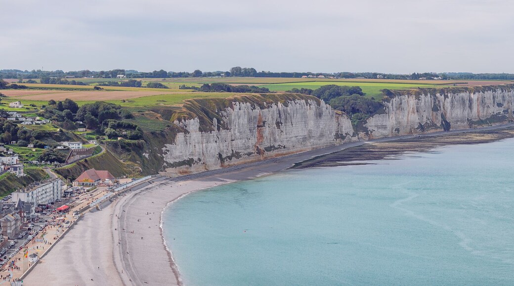 Cliff coast near Fecamp in the direction of Yport