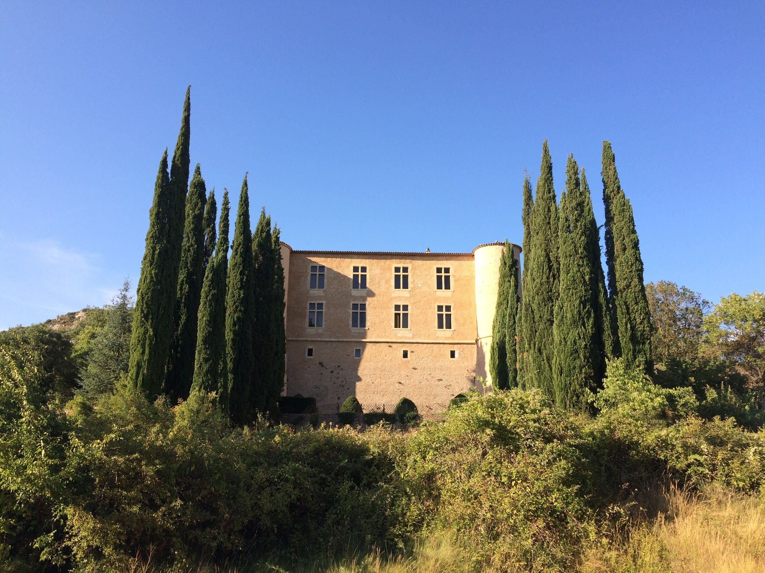 A historic building surrounded by tall cypress trees and dense shrubbery.