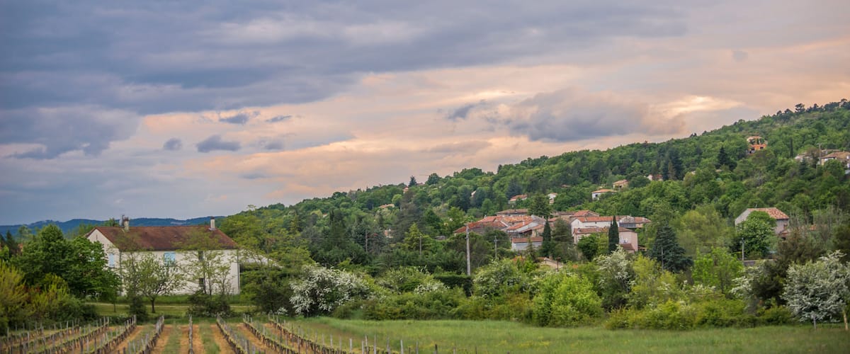 A vineyard with rows of grapevines, a white house, and a hillside with scattered houses and trees under a cloudy sky.