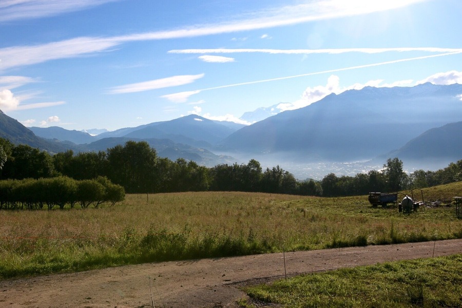 I was staying at the house of friends for three weeks in verrens-arvey, a small village near Alvertville. I just drove up the hills real early and i had this nice view over albertville in the misty valley..