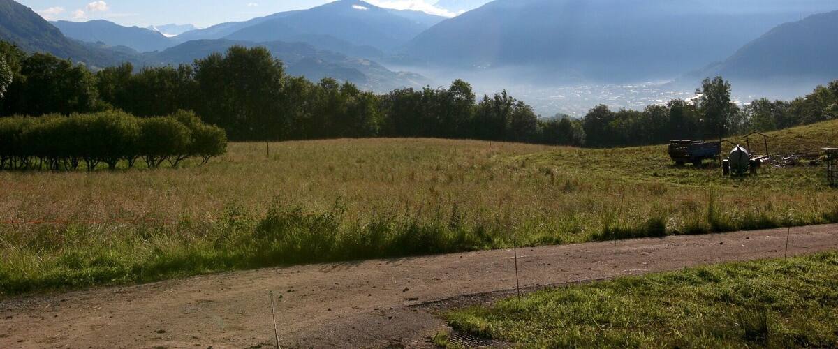 A rural landscape with a dirt road, green fields, trees, and distant mountains under a clear sky.
