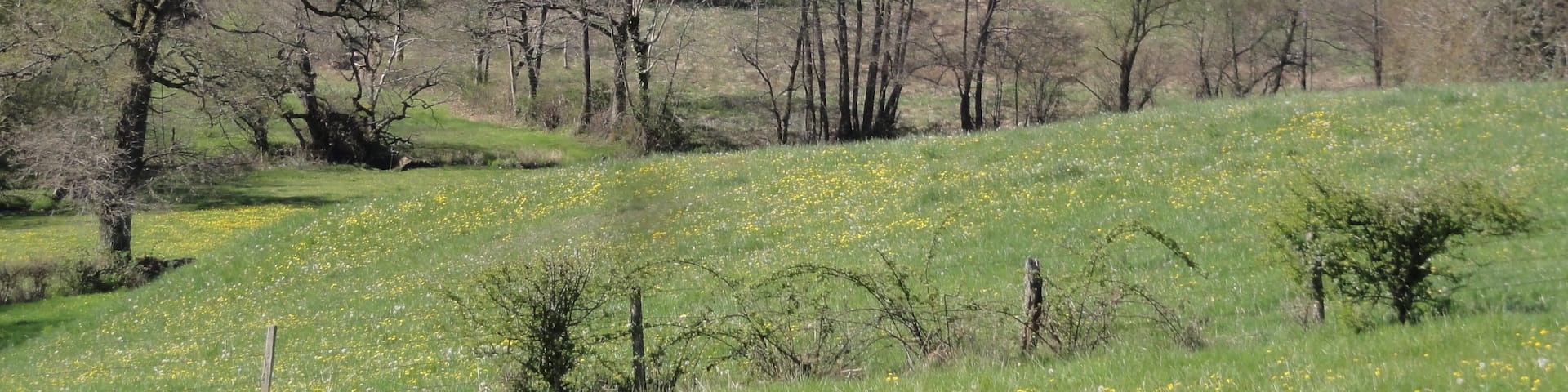 Vergheas (Puy-de-Dôme) vue sur le village