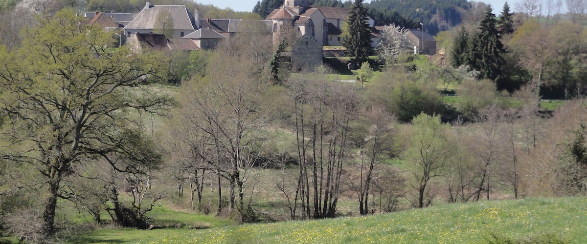 A church surrounded by trees and a field of yellow flowers.