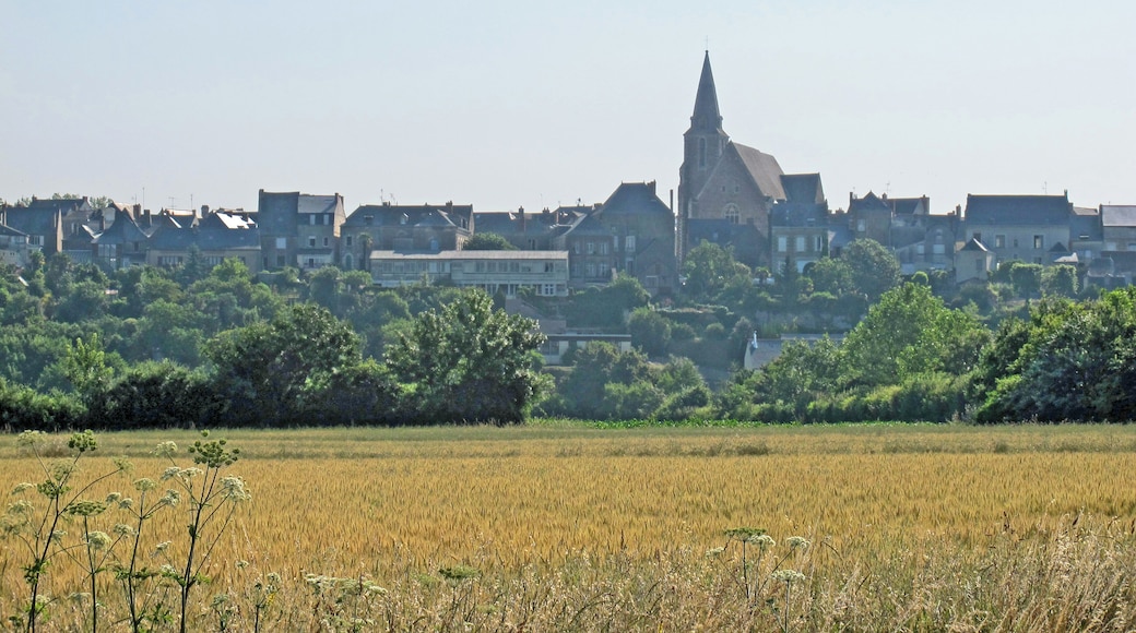 Le village de Brissac-Quincé (Maine-et-Loire) avec l'église Saint-Vincent (vitraux du16e siècle). Le 1er juin 1964, Quincé est rattaché à Brissac ce qui donne la commune de Brissac-Quincé. The village of Brissac-Quince (Maine-et-Loire) with the church of St. Vincent (windows du16e century). 1 June 1964, is attached to Brissac Quince which gives the town of Brissac-Quince.