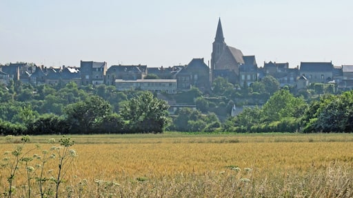 Le village de Brissac-Quincé (Maine-et-Loire) avec l'église Saint-Vincent (vitraux du16e siÚcle). Le 1er juin 1964, Quincé est rattaché à Brissac ce qui donne la commune de Brissac-Quincé. The village of Brissac-Quince (Maine-et-Loire) with the church of St. Vincent (windows du16e century). 1 June 1964, is attached to Brissac Quince which gives the town of Brissac-Quince.