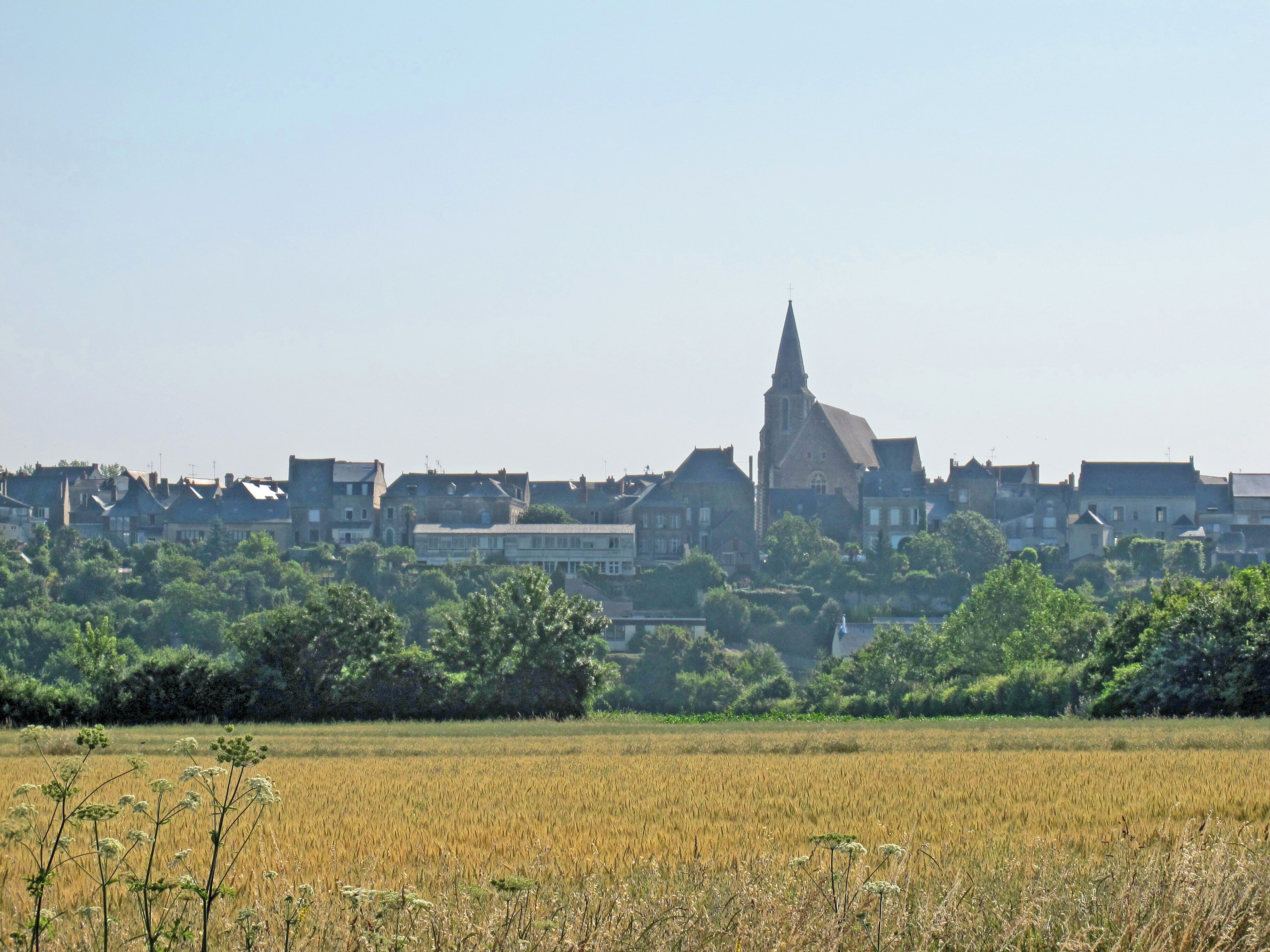 A town with a prominent church steeple, surrounded by residential buildings and a field of crops.