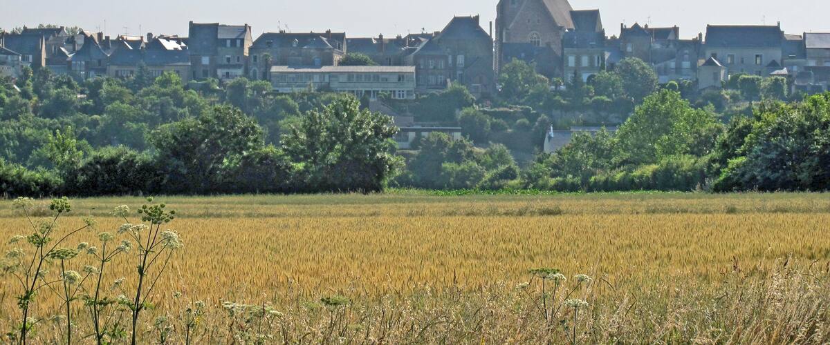 A town with a prominent church steeple, surrounded by residential buildings and a field of crops.