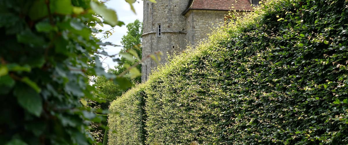 A medieval stone tower with a conical roof, surrounded by dense green foliage.