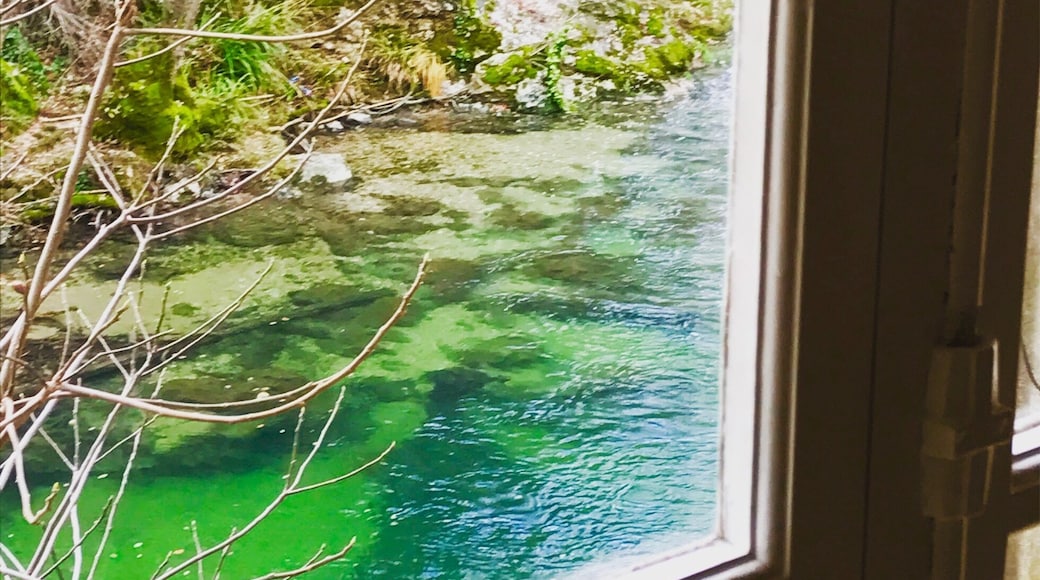 Centre crée par AMA ! Plein d'activités