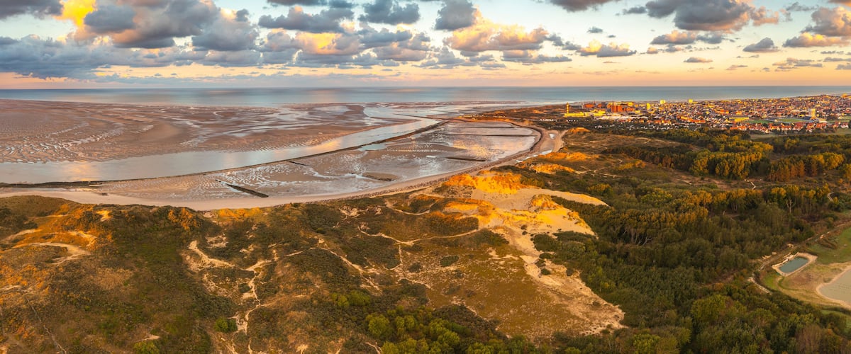 An aerial view of a coastal area with a large water body, a cityscape, and a forested region.