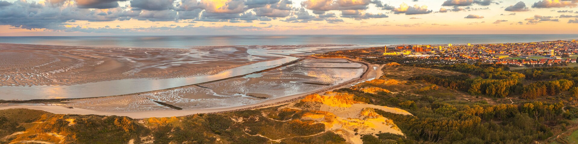 An aerial view of a coastal area with a large water body, a cityscape, and a forested region.