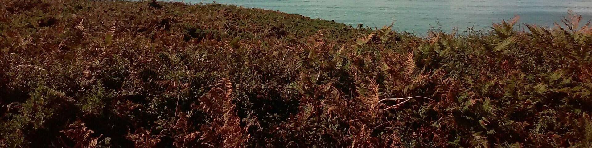 vu sur la presqu'île de Crozon