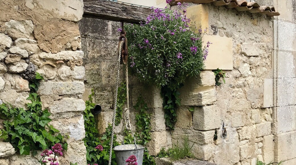 Picturesque well in this beautiful village ♥️🇫🇷