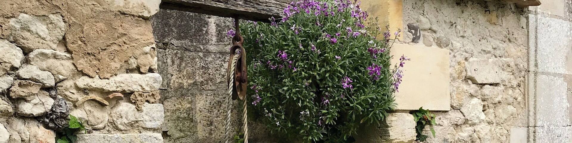 A rustic stone wall with a hanging flower pot and blooming flowers.