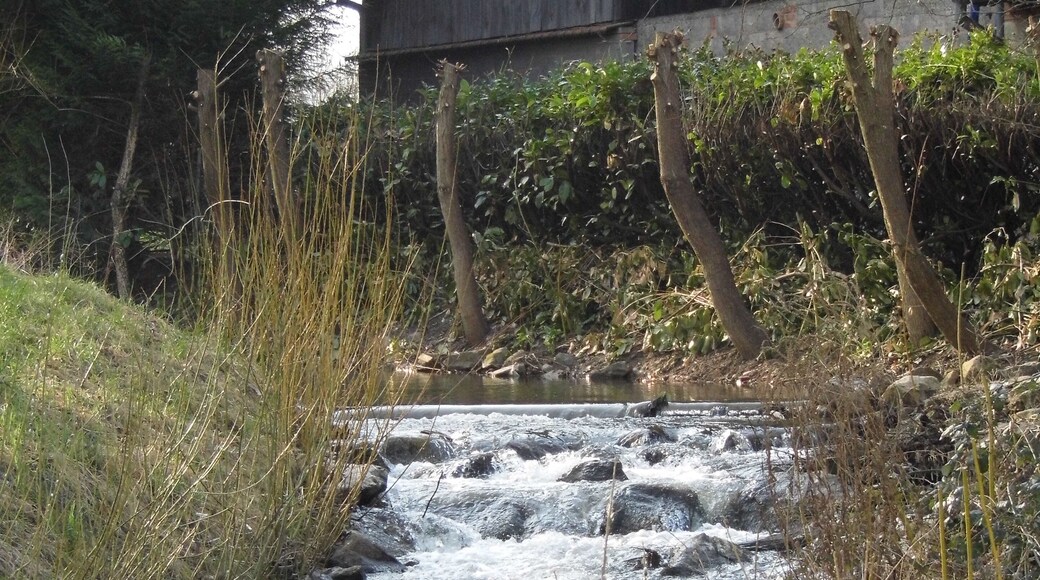 ruisseau à Stotzheim