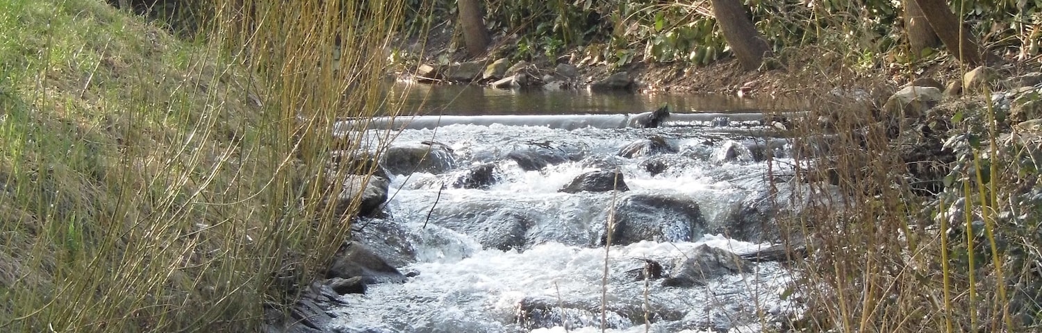 A flowing stream with rocks, surrounded by grass and trees, near a wooden structure.