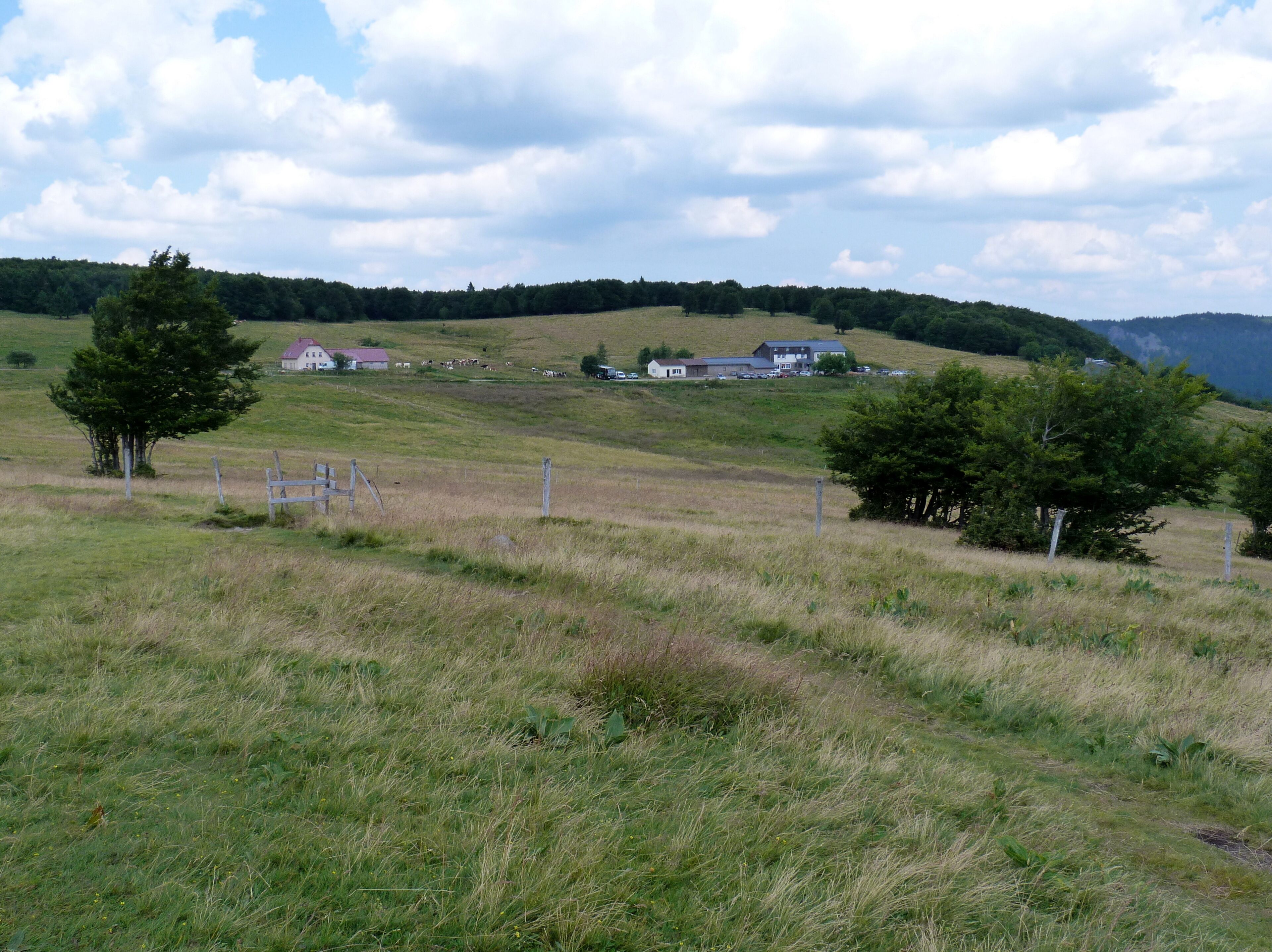 Chaume des Trois Fours (massif des Vosges).