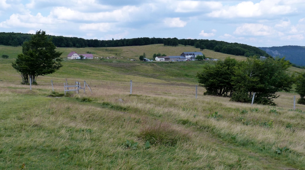 Chaume des Trois Fours (massif des Vosges).