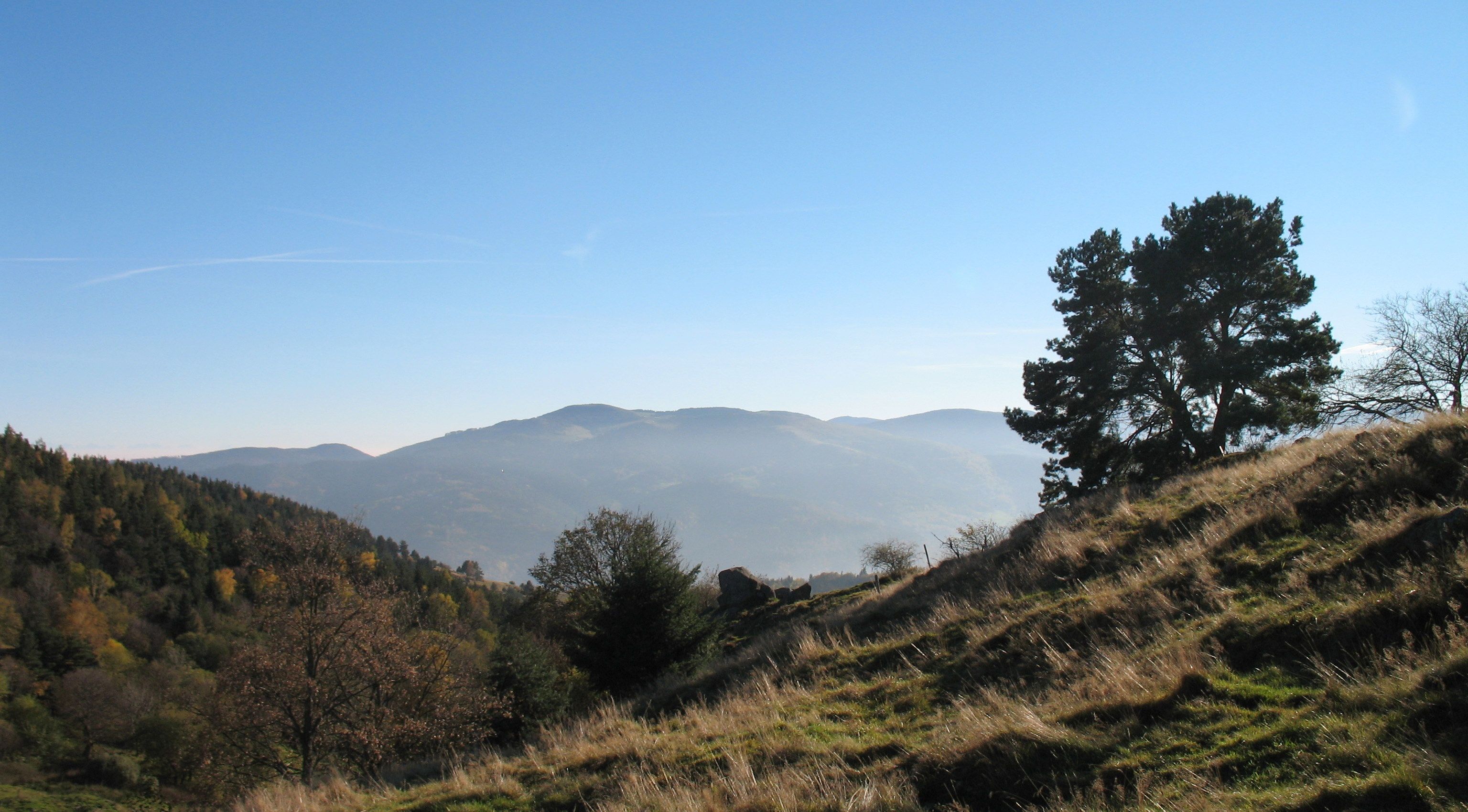 Glasborn (looking South)