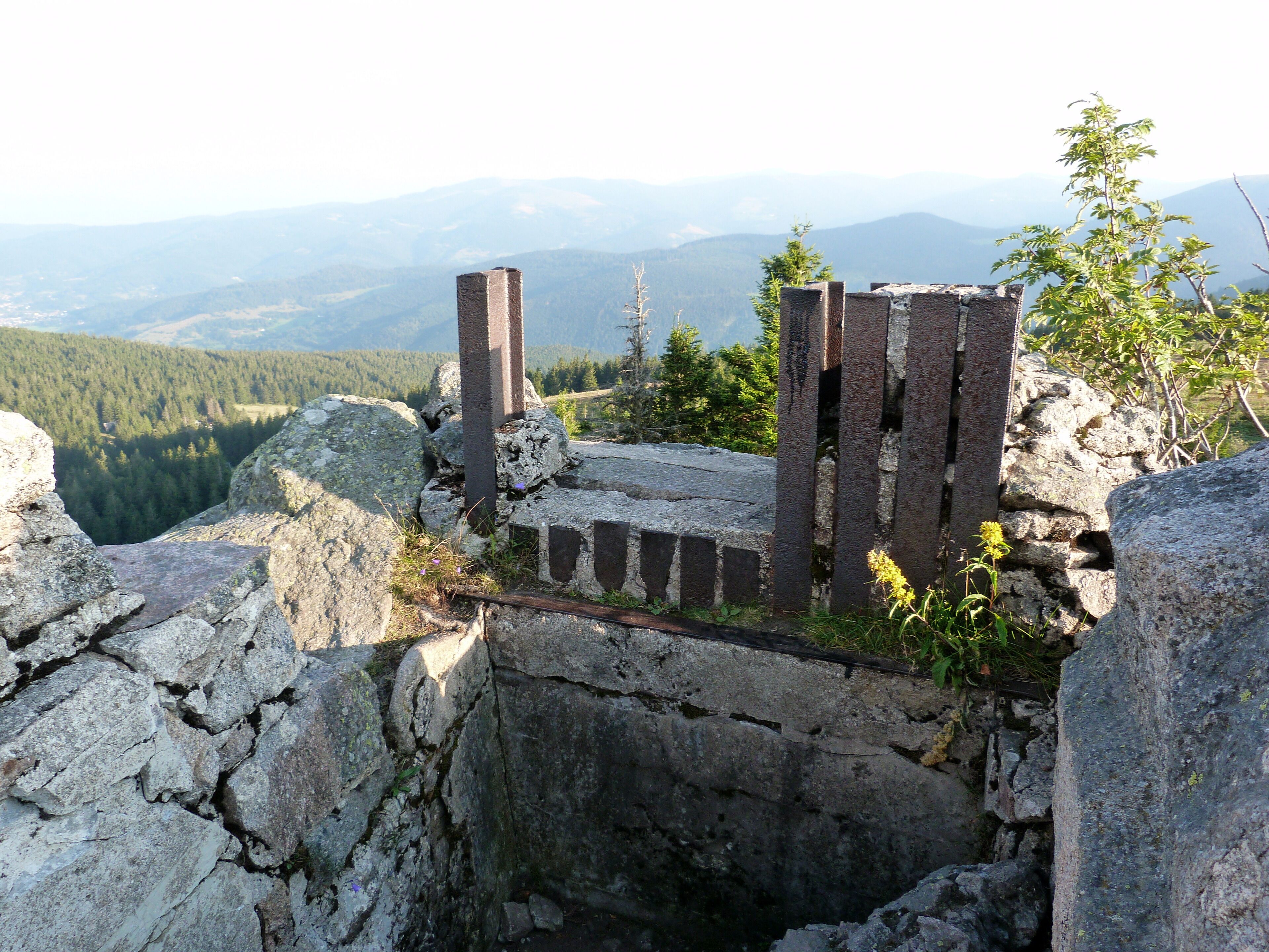 Le Tanet (massif des Vosges).