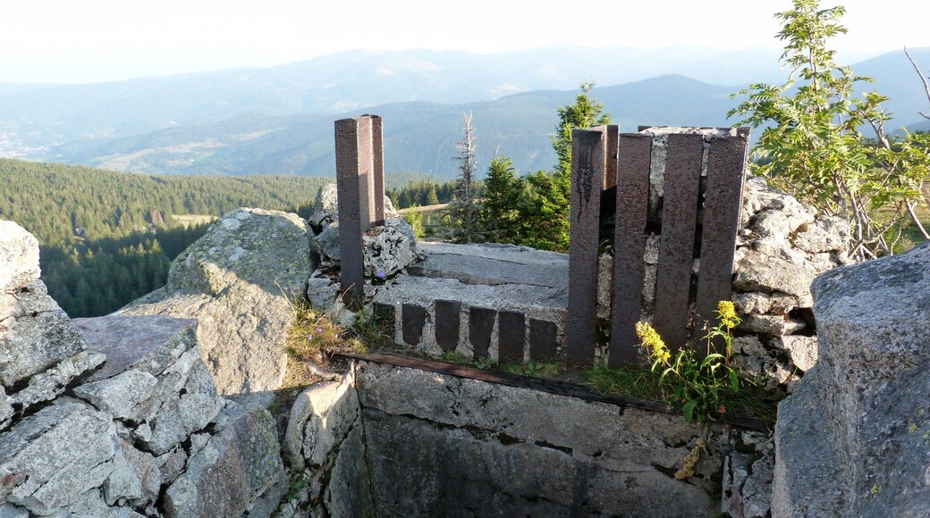 Le Tanet (massif des Vosges).