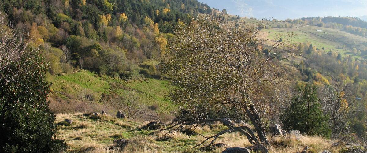 Glasborn (looking SE)