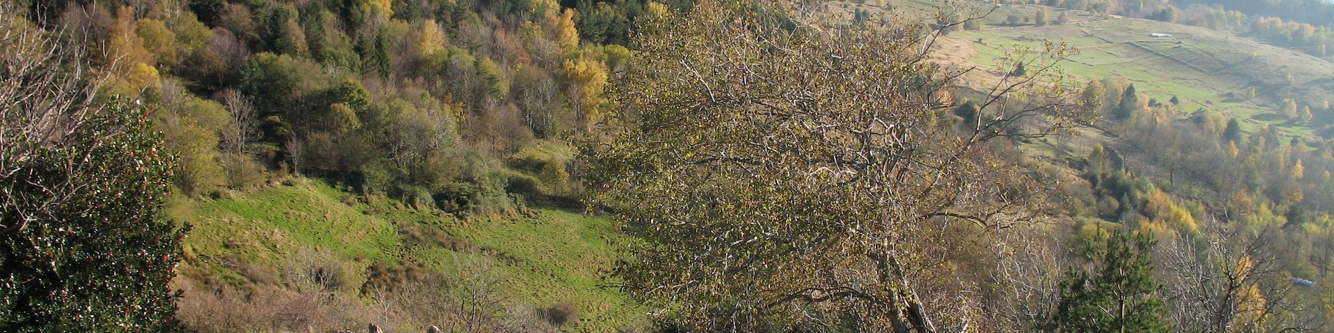 Glasborn (looking SE)