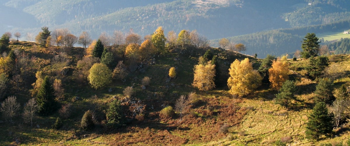 Glasborn (looking West)