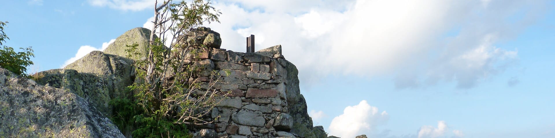 Le Tanet (massif des Vosges).