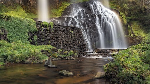 Beautifull waterfal and a really cool hike.
