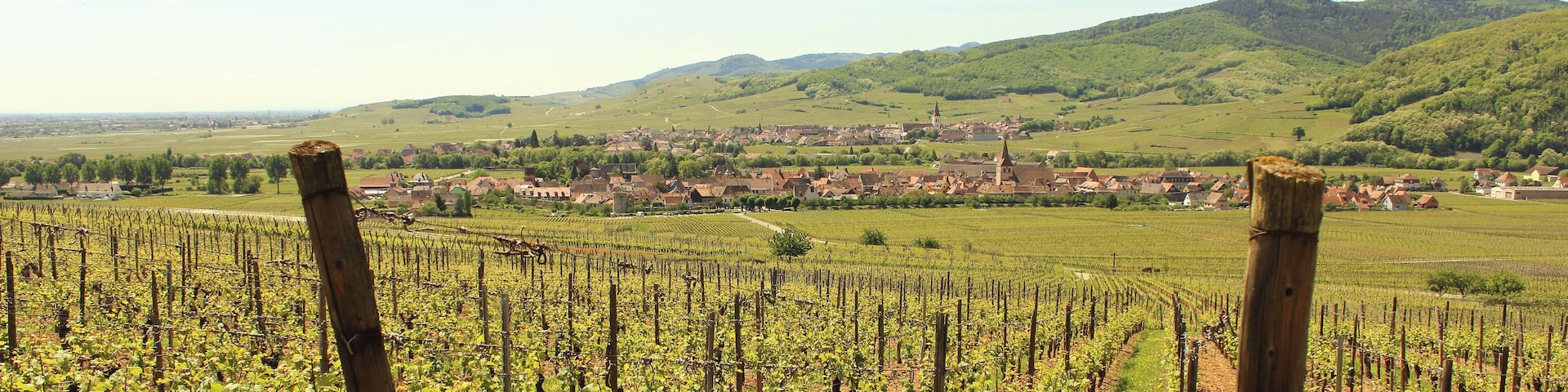 2017-05-21-12-20-39_Les Forts Trotters_au Sentier des Grands Crus