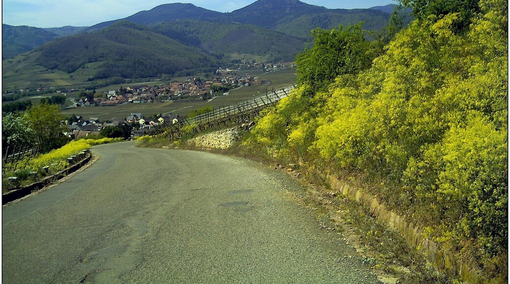 April Patina Kaysersberg Ville de Albert Schweitzer - Master Alsace magic Elsaß Photography 2014 Lambarene prix nobel de paix