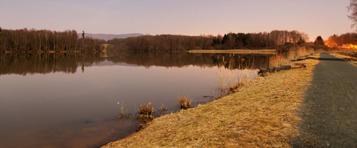 This file was uploaded with Commonist. This photograph was taken with a Nikon D300. Étang de la Véronne (sous le clair de Lune).