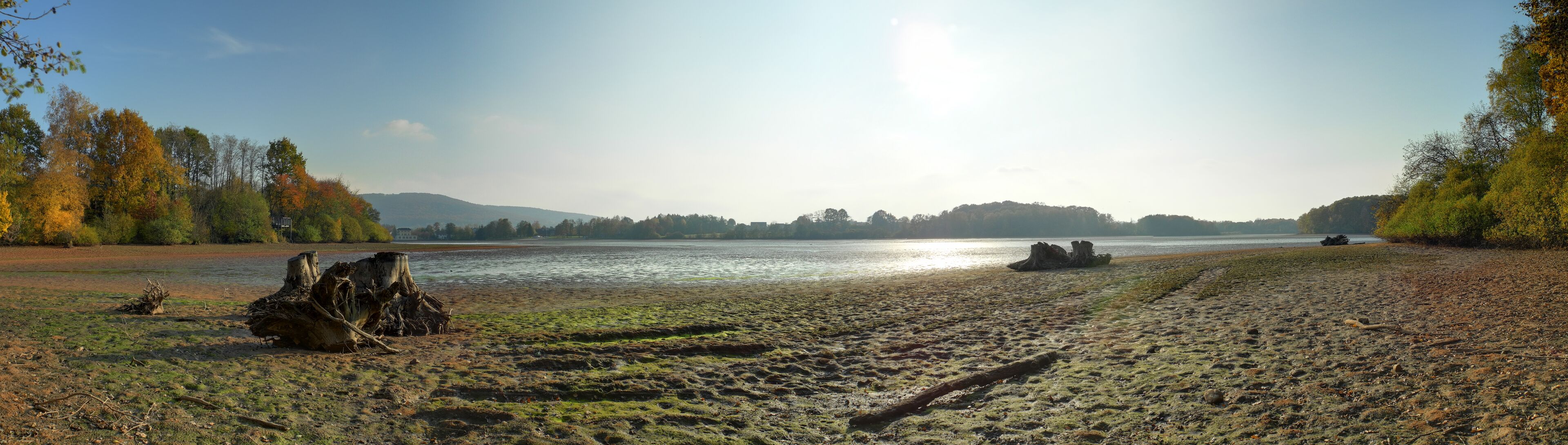 A riverbank with trees, a clear sky, and distant hills.