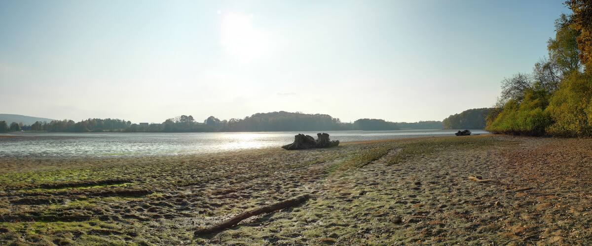 A riverbank with trees, a clear sky, and distant hills.
