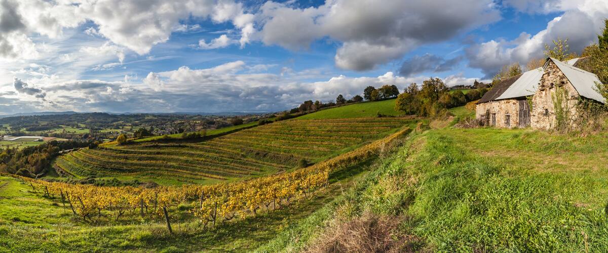 Allassac (Corrèze, France) - La Chartroulle - Vue panoramique des vignobles de la vallée de la Vézère en automne