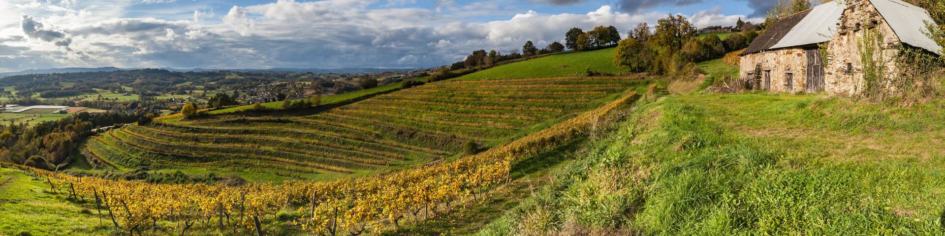 Allassac (Corrèze, France) - La Chartroulle - Vue panoramique des vignobles de la vallée de la Vézère en automne