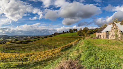 Savignac-de-Miremont