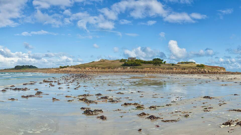 A beach with seaweed on the shore and a hill with ruins in the background.